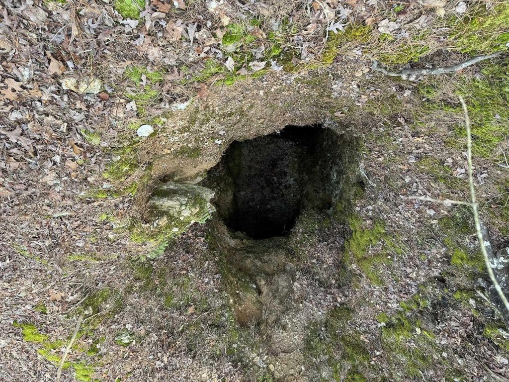 Picture 14