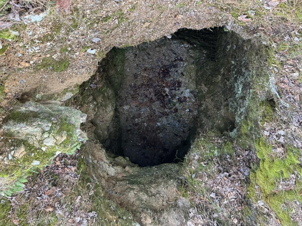 Picture 15