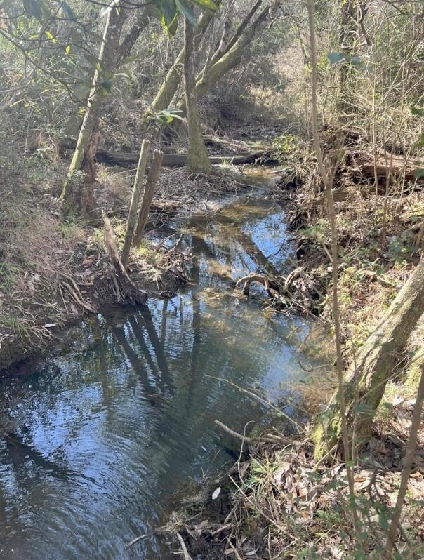 13 Acres of Natural Land