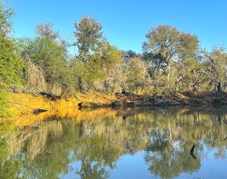 Secluded Recreational Farmland Tract