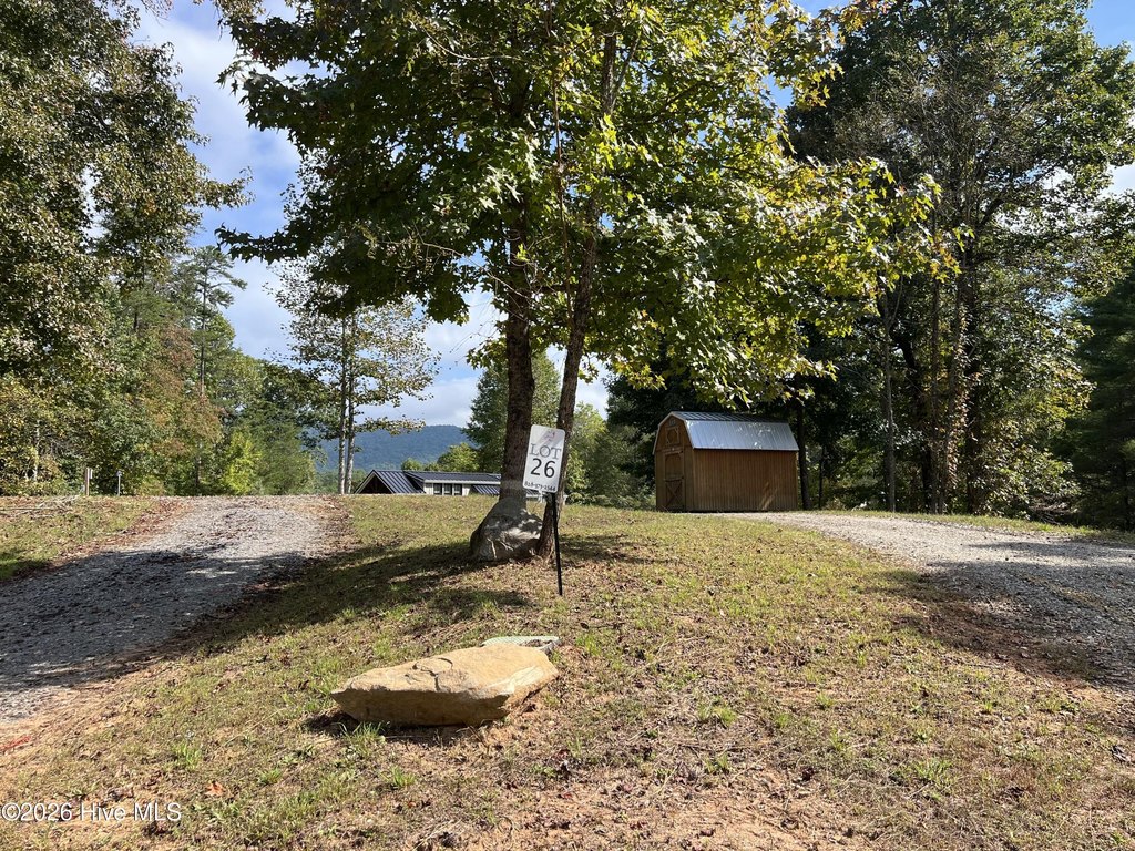 Picture 15