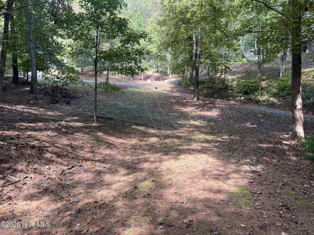 Picture 13