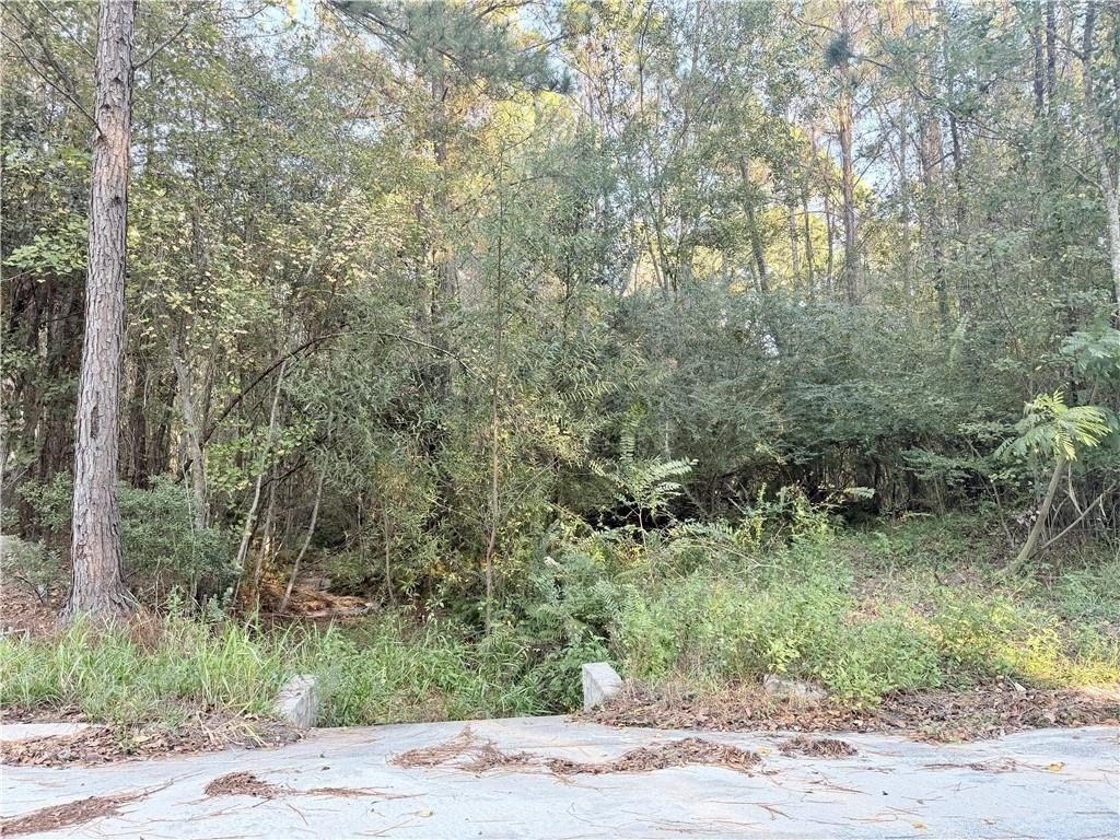 Picture 3
