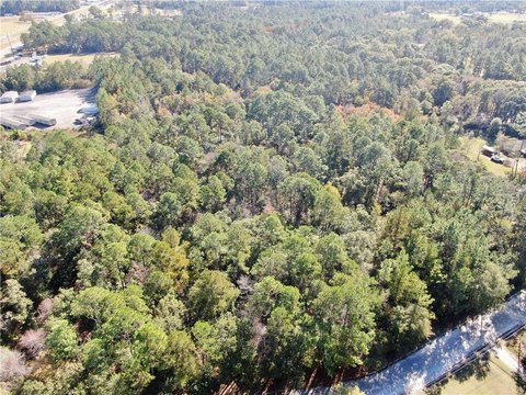 Wooded Lot Near Waycross, GA