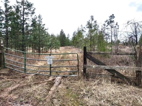 Treed Recreational Land