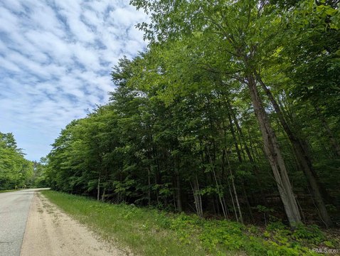 Wooded Land Parcel Near Manistique