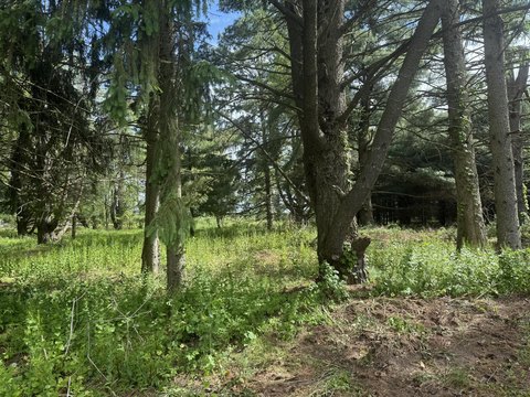 Buildable Lot Near Barton Lake