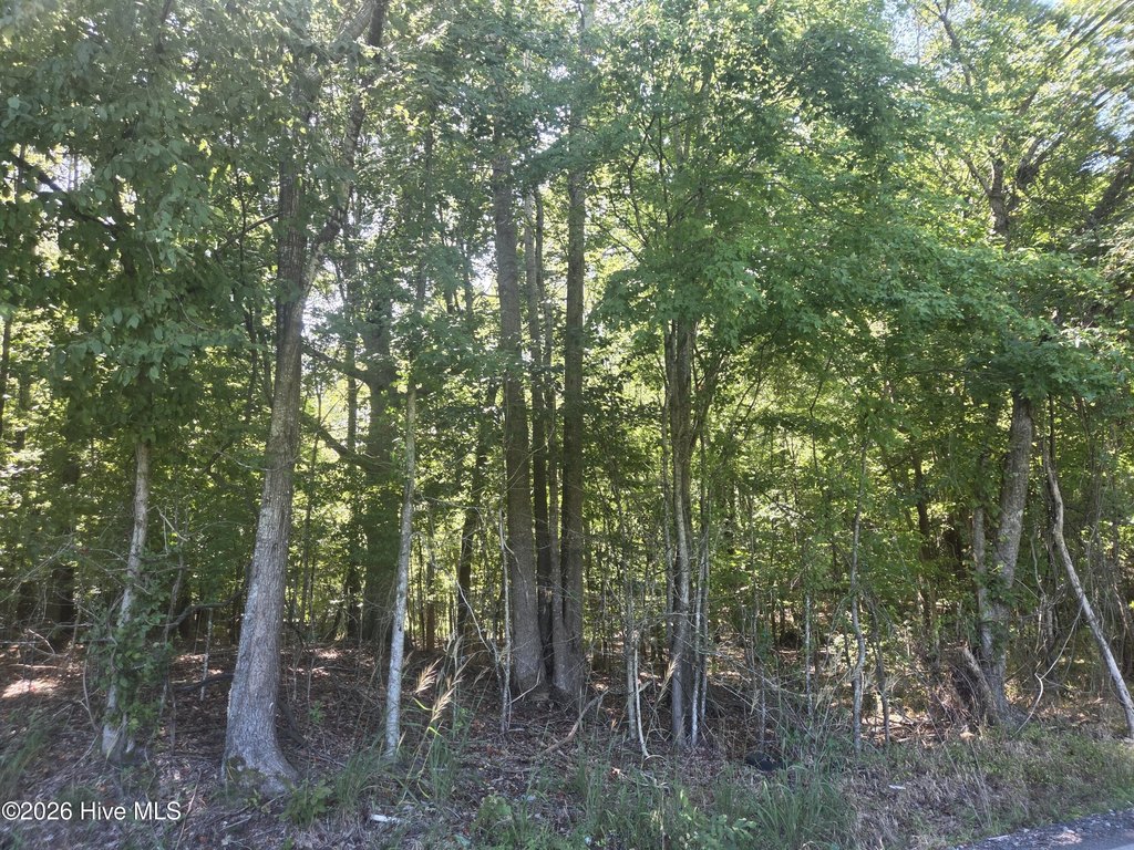Picture 4