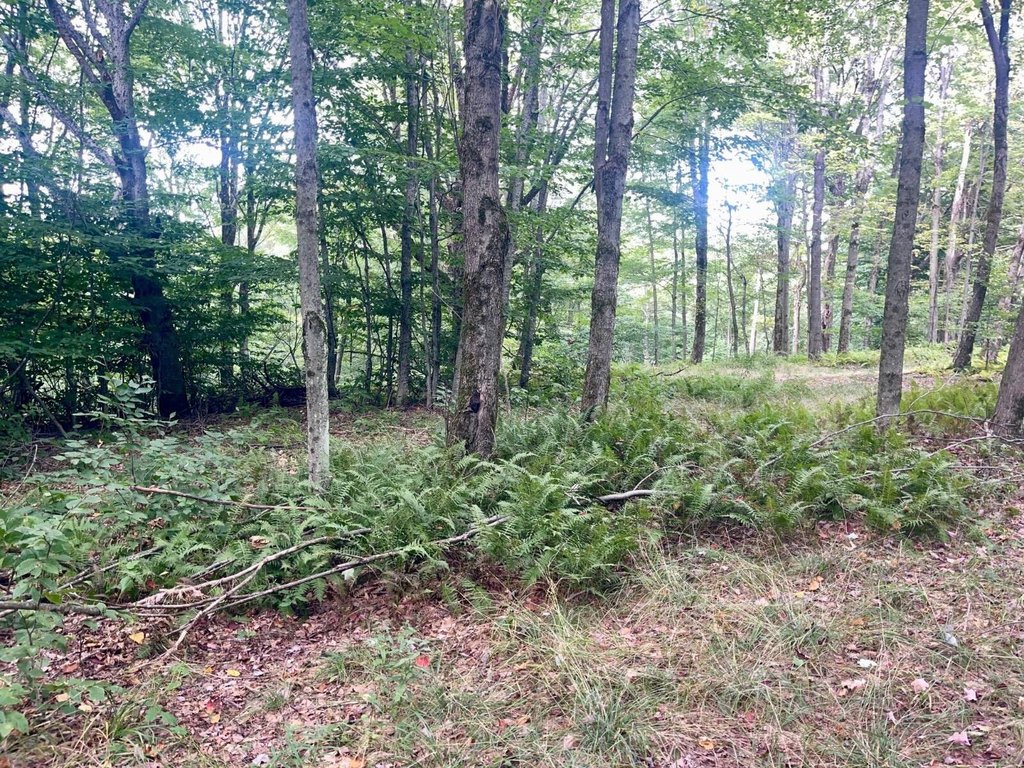 Picture 29