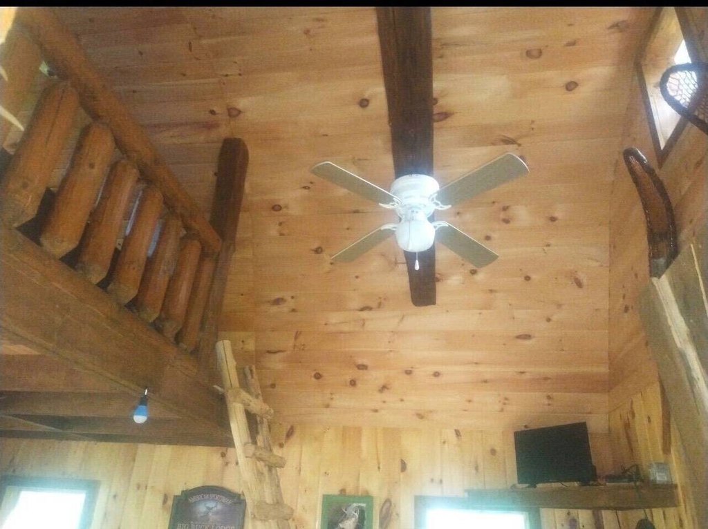 Picture 18
