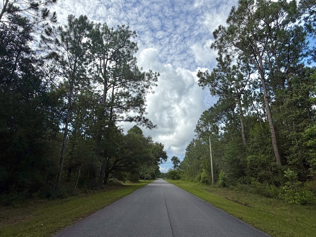 Picture 12