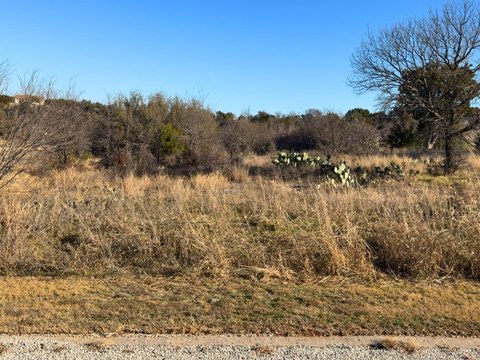 Waterfront Resort Lot with Mature Trees