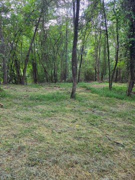 Vacant Lot, McCaysville, GA