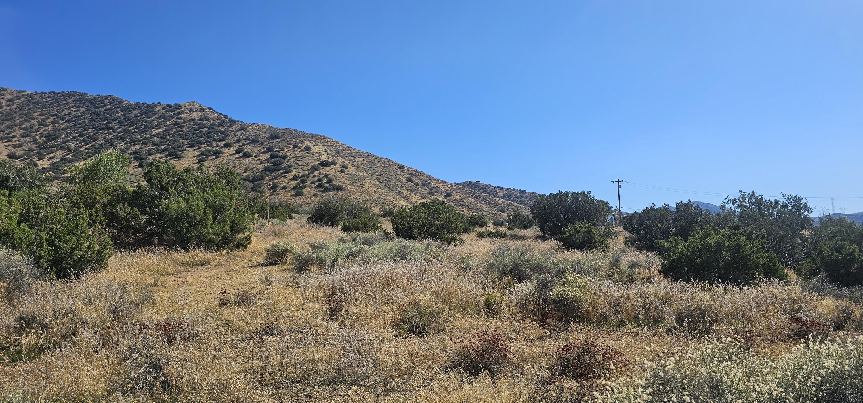 Acton Ranch Home Opportunity