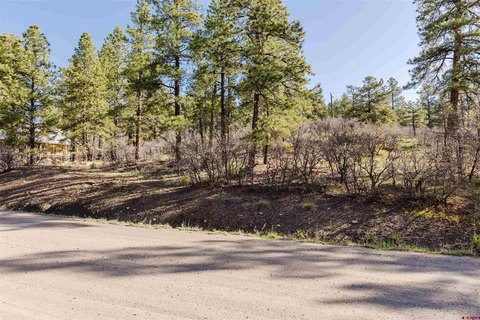 Land in Pagosa Springs, CO