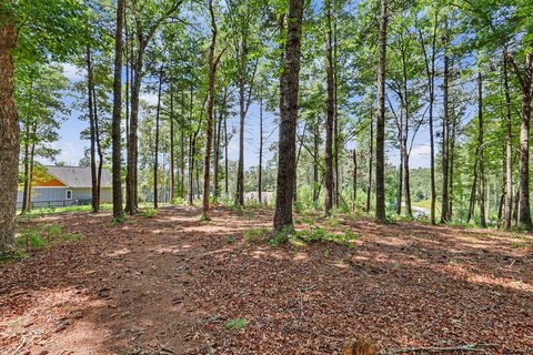 Vacant Lot, Blairsville, GA