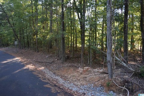 LAND - MCCALLA, AL