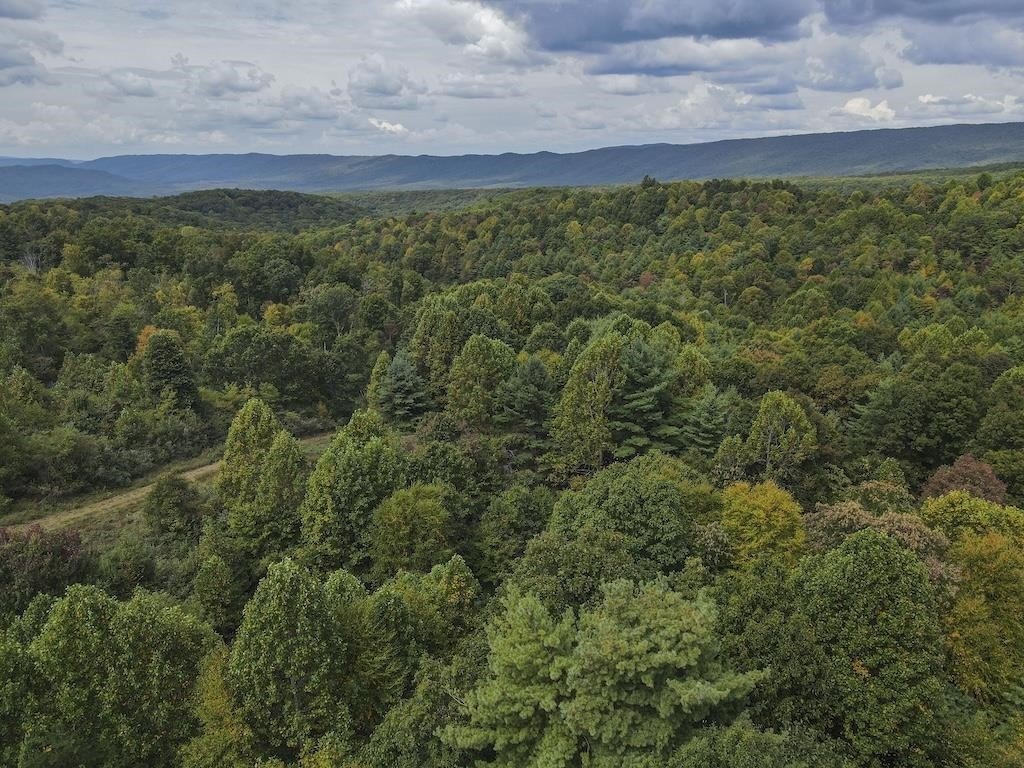 Picture 41
