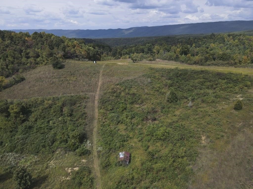 Picture 44