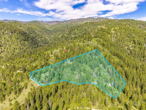 Wooded Mountain Land