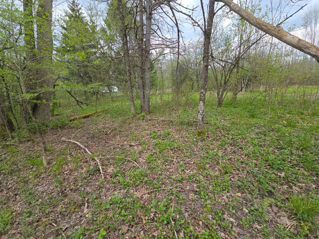 Picture 23