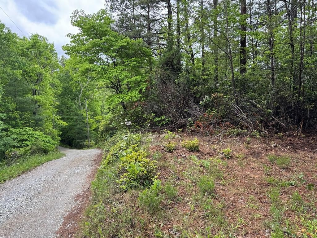 Land in Bryson City, NC