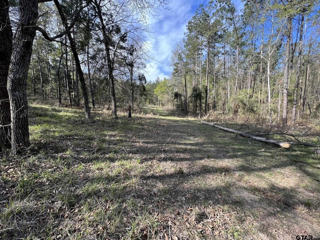 Picture 10