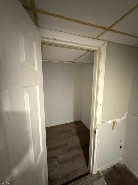 Picture 17