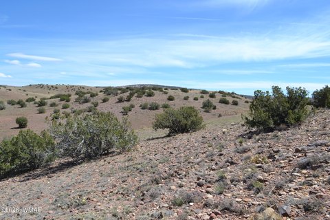 Land Parcel Near Concho, Arizona