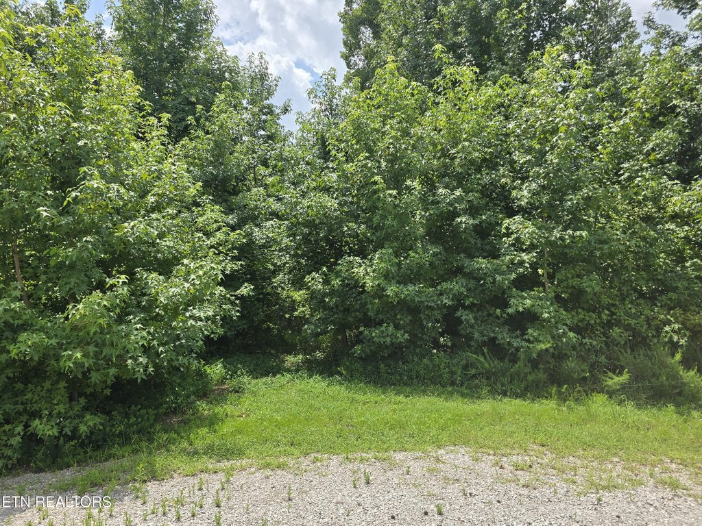 Picture 3