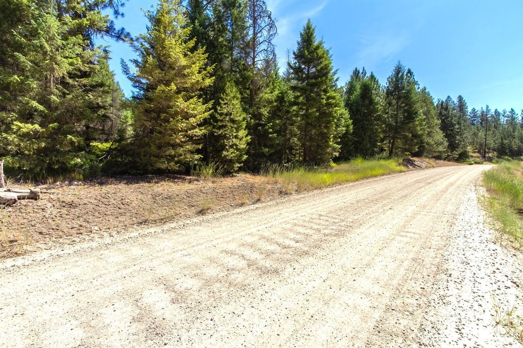 Picture 21