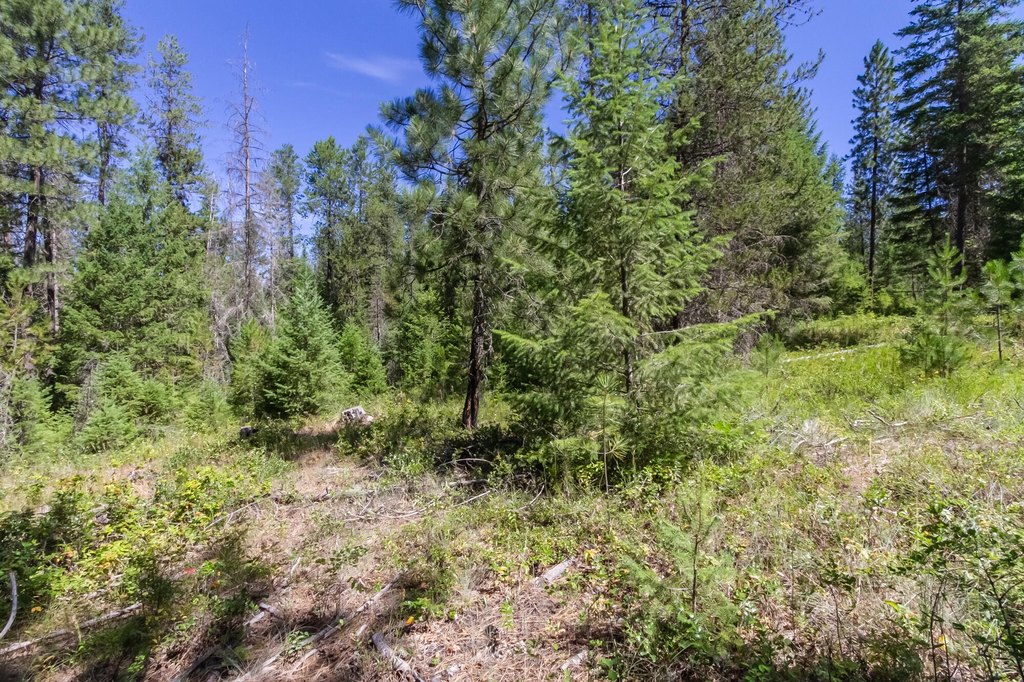 Picture 23