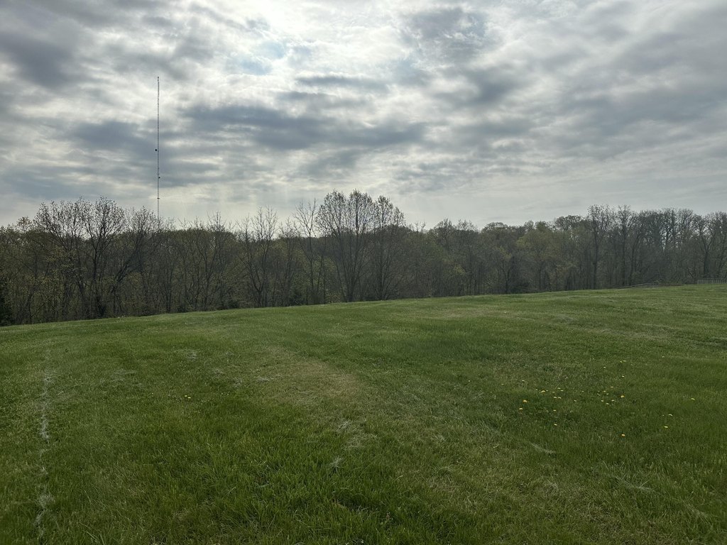 Picture 4