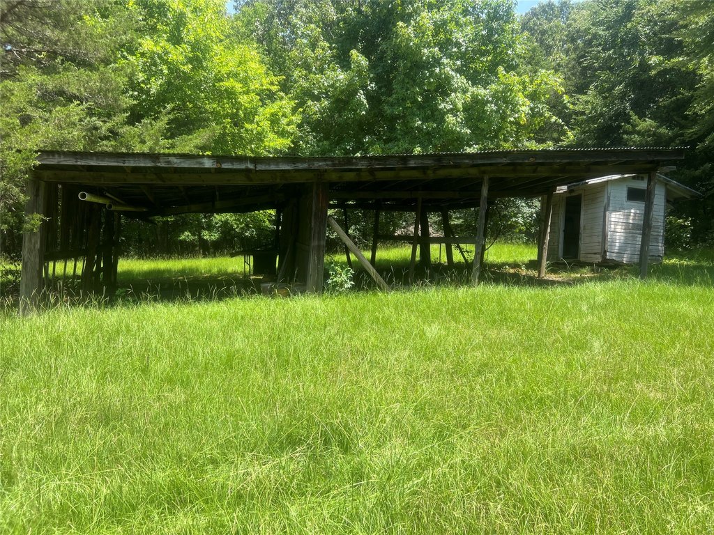 Picture 4