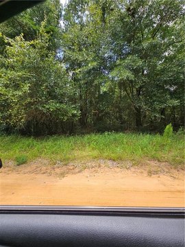 LAND - Eight Mile, AL