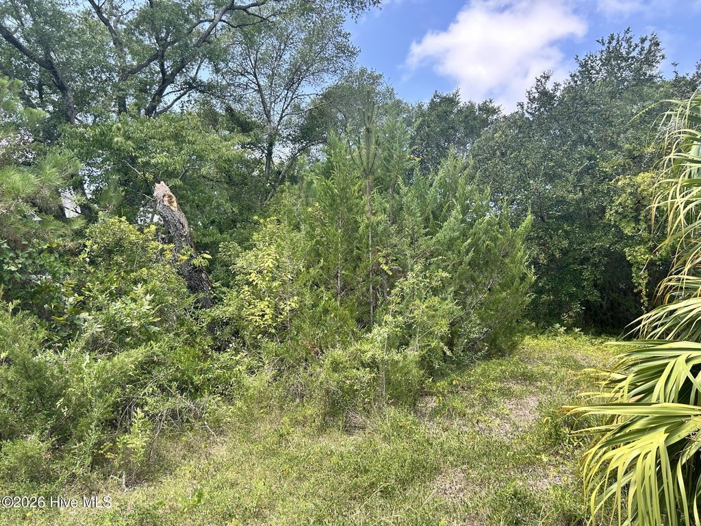 Picture 20