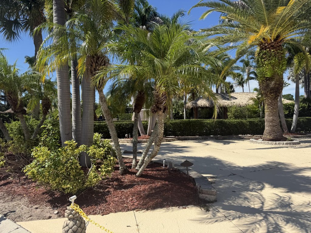 Picture 14