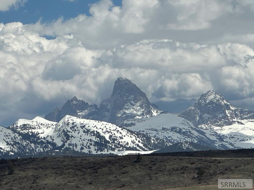 Picture 34