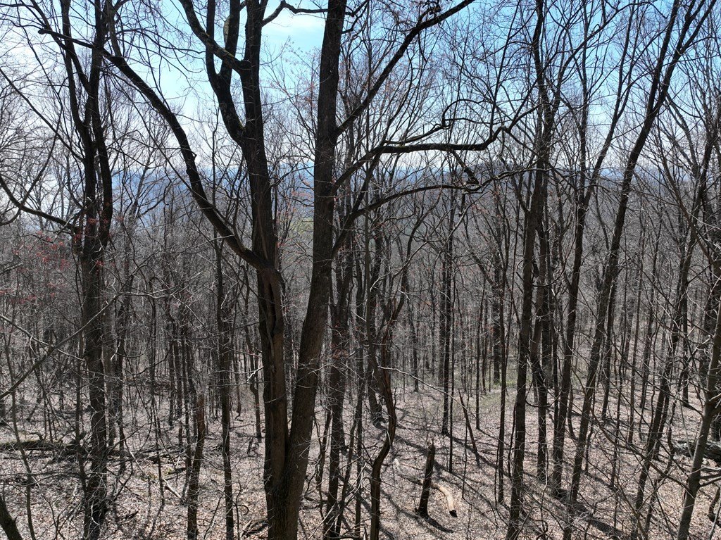 Picture 13