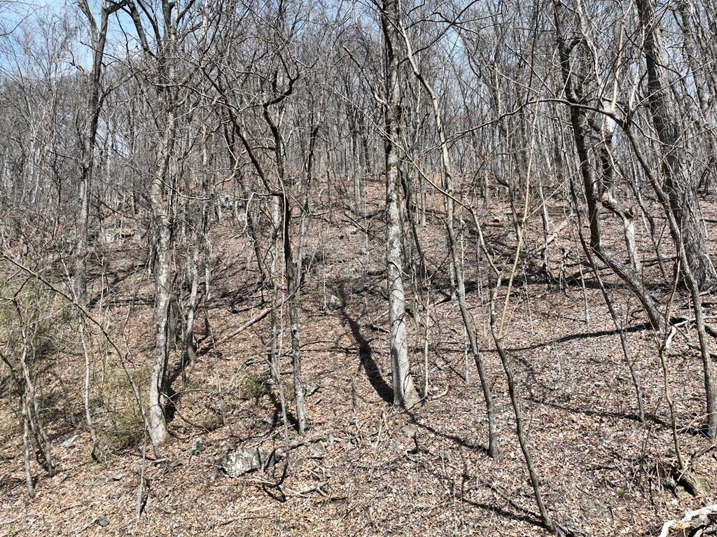 Picture 19