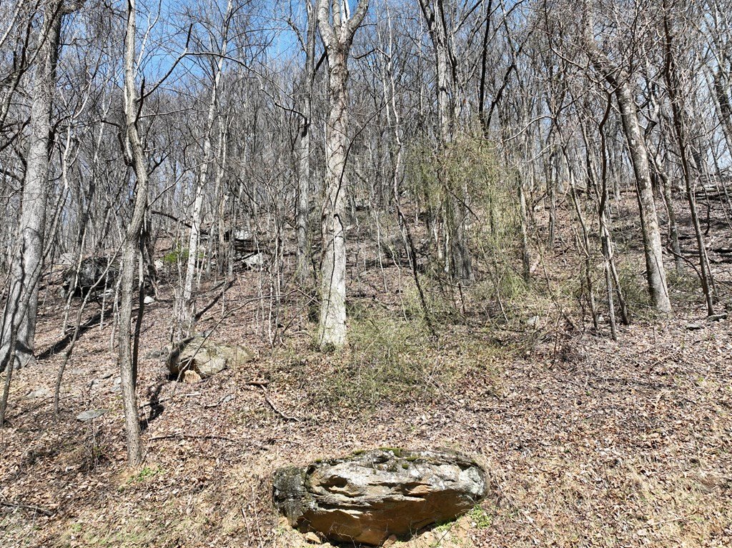 Picture 21