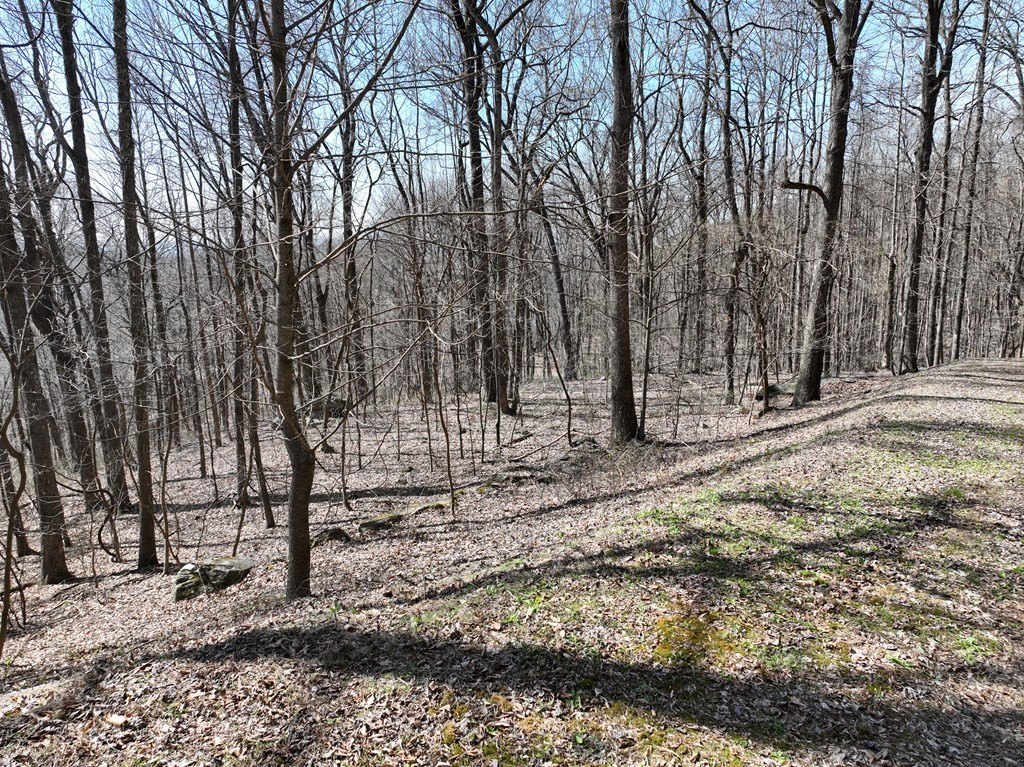 Picture 10