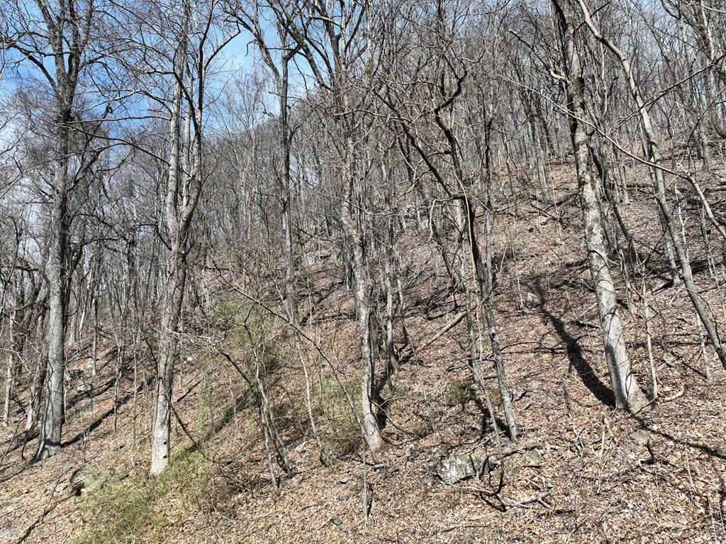 Picture 18