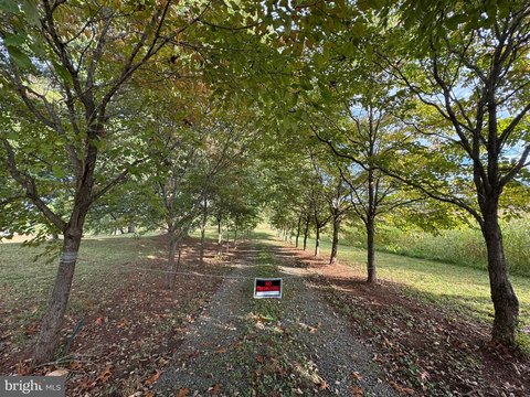 Idyllic Land in Louisa County