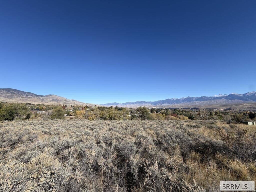 Picture 7