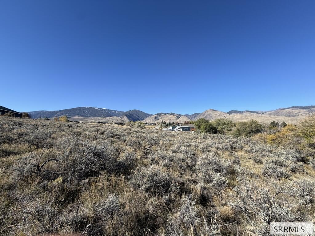 Picture 10