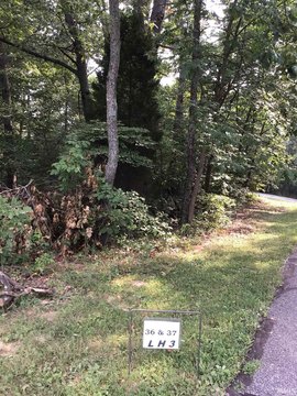 Wooded Residential Land Lots