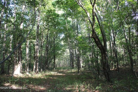 Land, Nesbit, MS