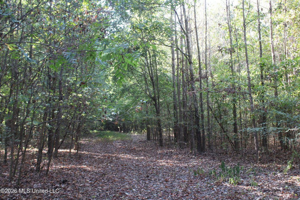 Picture 38