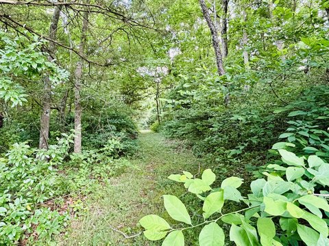 Land, Marionville, MO